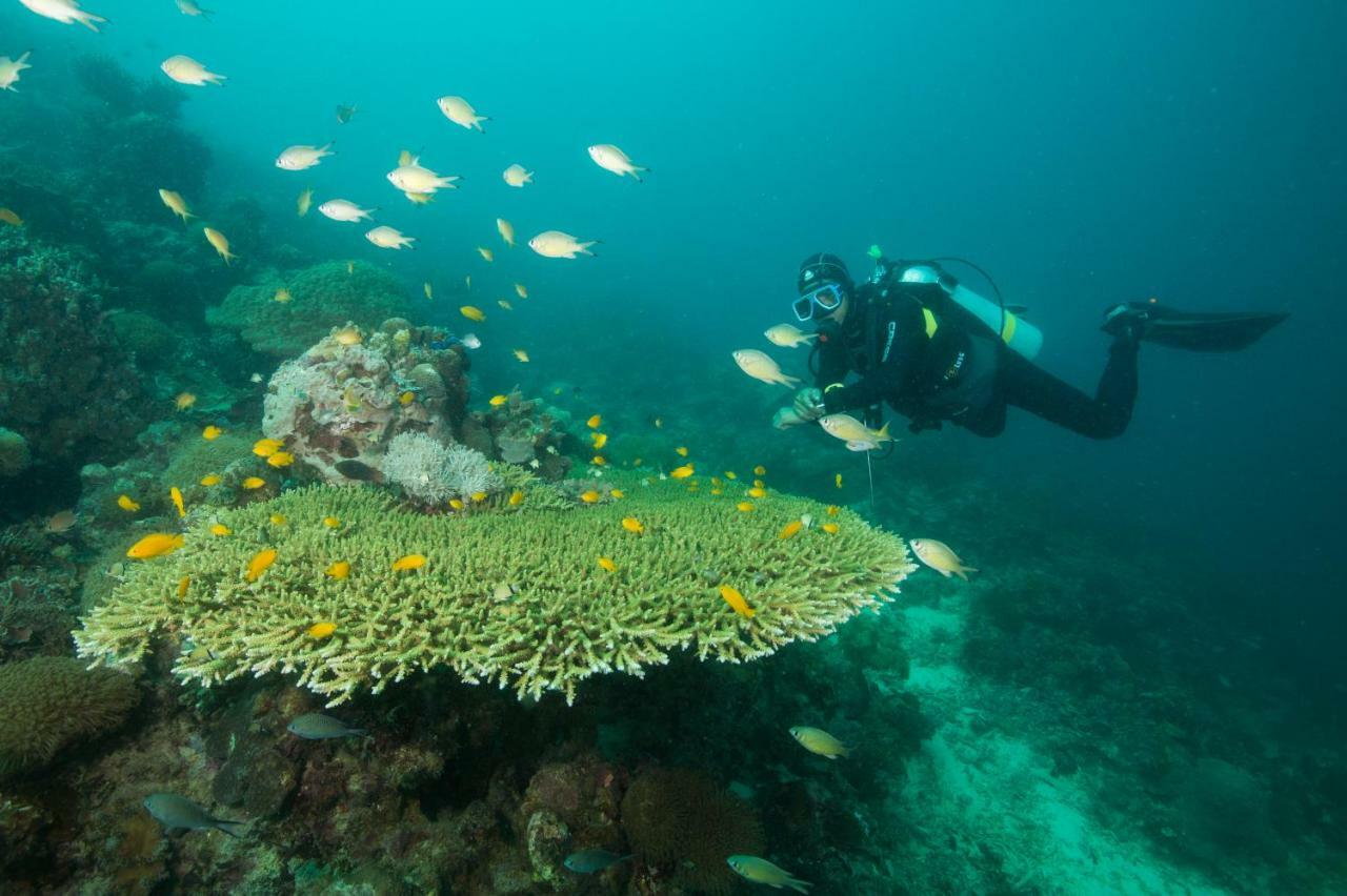 Magic Oceans Dive Resort Anda  Exterior foto
